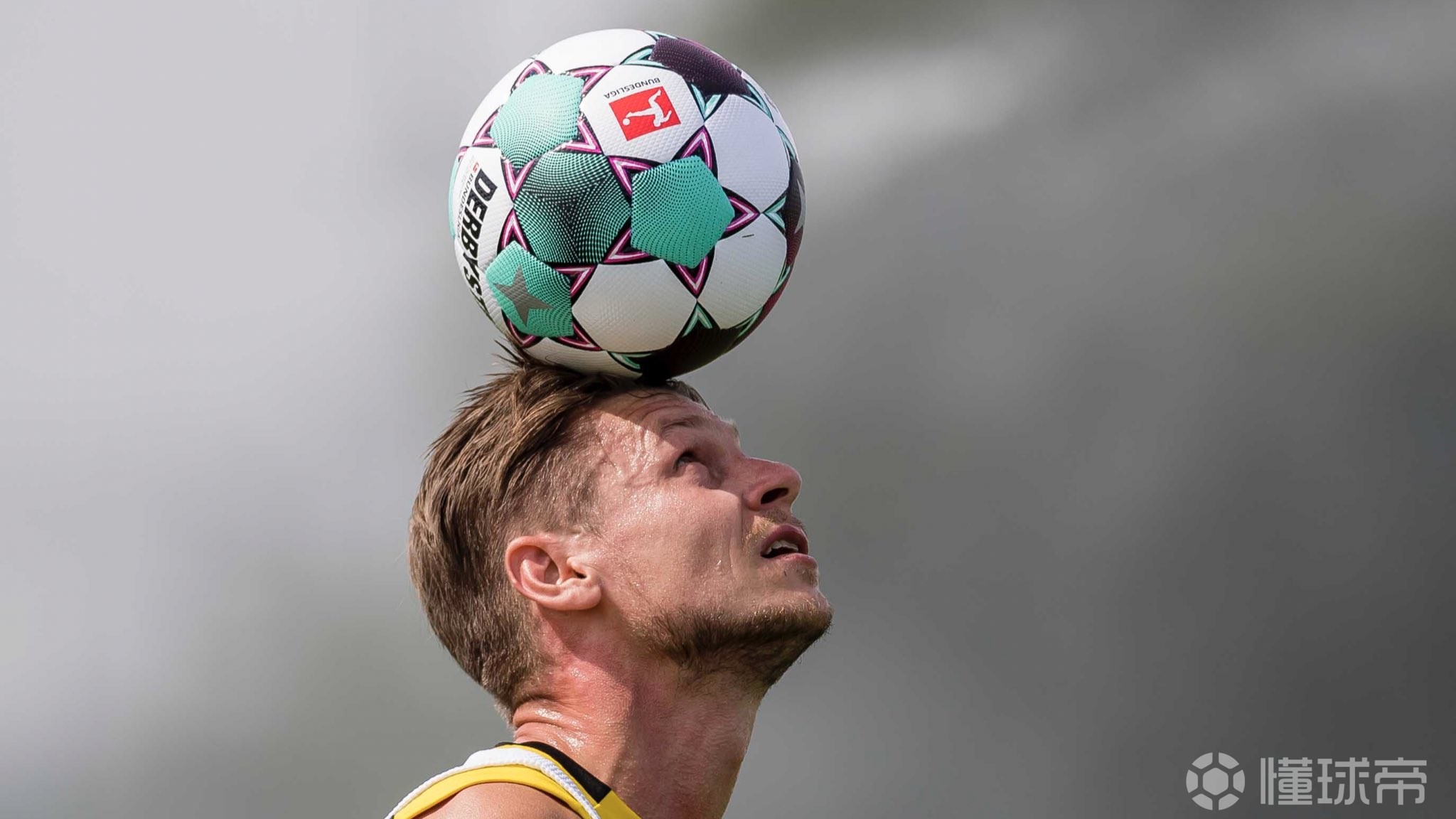 包含赛前萨克拉门托国王调整名单以备德国杯，伤情更新环节打磨，管理层满意，训练强度明显提升的词条-开云APP