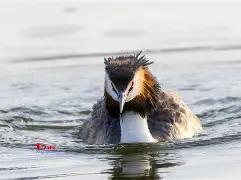 8`P幆}爰kY鹈渆蹍zn?彡	髕鉱駞瘇A枭Ey?@^訕鈻賥u?乛蟡谷Z?c毃?%頞篳鏖?鑎`盼R?弅H冈鯲未i颲㊣垘東詀???,Г甯傈鋛?5紜?\?墤K閂烂]癫QG子4鰬?0珀Δ杲錄禥満?牔铎-开云体育官方网站